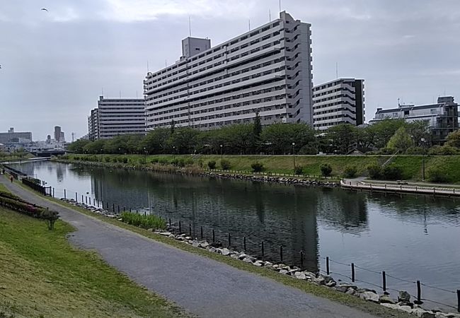 旧中川水辺公園 クチコミ アクセス 営業時間 亀戸 フォートラベル