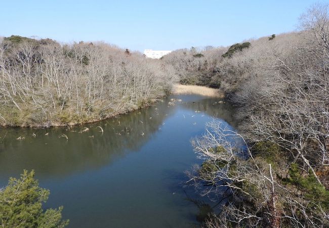 茨城県水郷県民の森 クチコミ アクセス 営業時間 潮来 フォートラベル 茨城県水郷県民の森 クチコミ アクセス 営業時間 潮来 フォートラベル