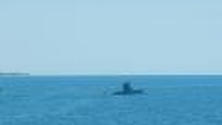 マーレ グランテ