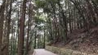 岩国城に行くときに通りました