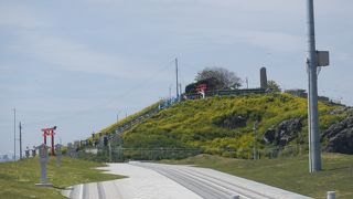 毎年３月上旬頃に蕪島に飛来するウミネコは、４月頃に産卵をはじめ、６月頃にはヒナがかえり、８月頃には蕪島を旅立っていきます。