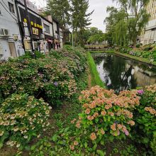 内丸緑地　盛岡城曲輪