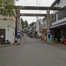 内丸緑地　盛岡城曲輪