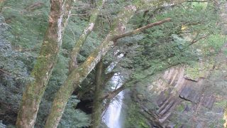 展望台から見ました