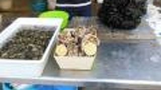 ジュゼッペ ガリバルディ通り