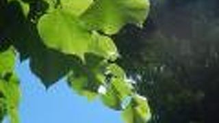 ピアッツァ ガルバルディ庭園