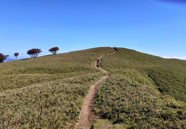 石榑峠から