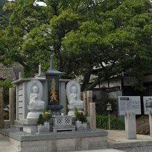 天蓋マツの跡地