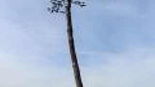 津波の事実を見つめなおす