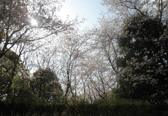 延命公園 福岡県大牟田市 クチコミ アクセス 営業時間 大牟田 フォートラベル