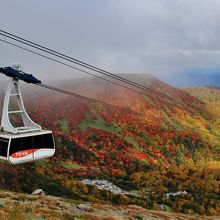 大きなゴンドラ