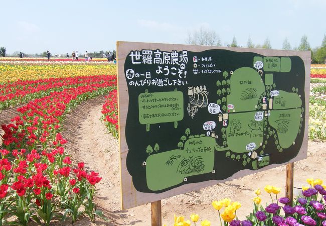 世羅高原農場 クチコミ アクセス 営業時間 世羅 フォートラベル