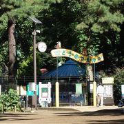 小さい動物園ですが楽しめます