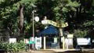 小さい動物園ですが楽しめます