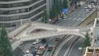 上から見る姿が興味深いです