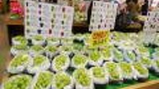 日田市　元気の森に寄ってきました。