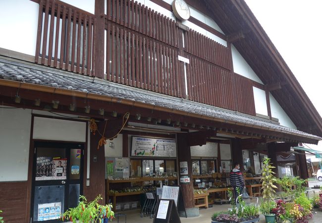 農業が盛んな宮崎県の農作物を見学してきました!!