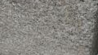 縁結びで女性に人気のある？高木神社