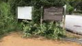 外から見るだけです