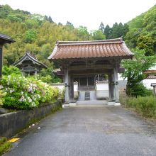 山吹城城門 (西本寺) 