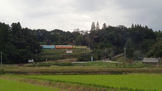 よく運んできたなぁ