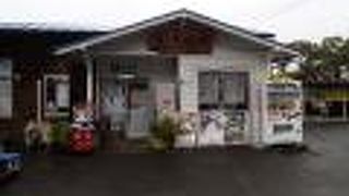 ネコ駅長のいる鉄道