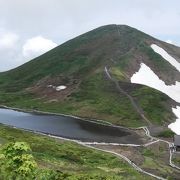 花の名山