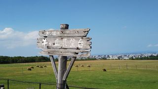 言わずと知れた観光スポット。