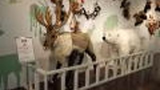 （再訪）国際線への通路にあります