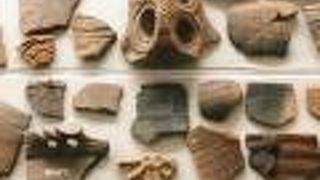 貝塚からの出土品展示あり
