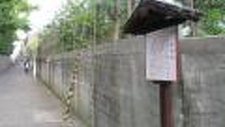 情緒はさほどではないです