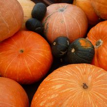 演出用のかぼちゃもいっぱいです