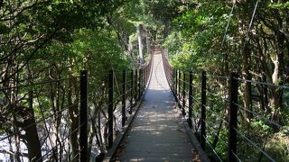 城ヶ崎海岸、もう一つの吊り橋も良かったです。