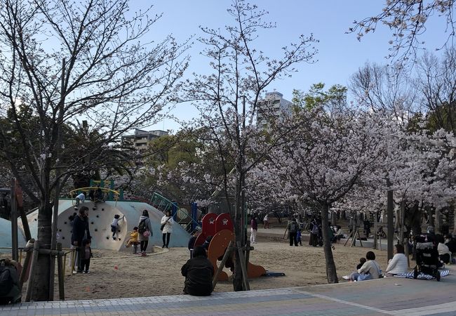 駅近くにある緑いっぱいの大きな公園です。