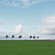 黒沢明監督の映画　夢です…