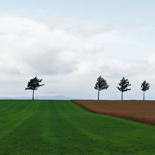 メルヘンチックな景色