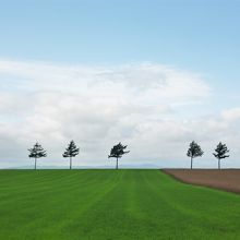 ドリームの景色