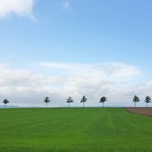 端にはお家屋も在ります
