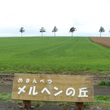 記念撮影用のスポット