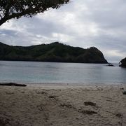 岩礁だった父島に最初に植物が海から流れ着いた海岸