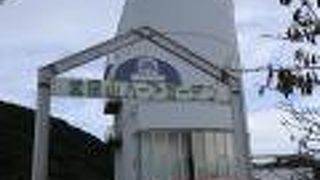 セージ、コキアがきれい