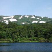 花の焼石岳