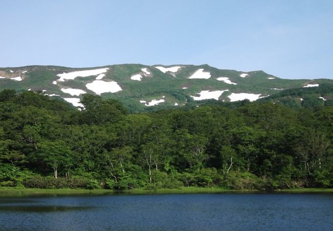 花の焼石岳