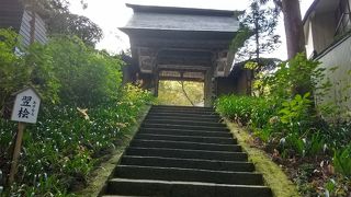 石段を登って本殿に