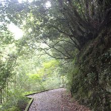 バス乗り場からの道は整備されていません。