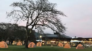 とても広いアウトレット