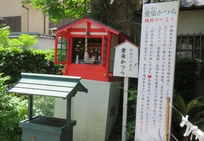 愛染かつら 愛染堂勝鬘院内 クチコミ アクセス 営業時間 ミナミ 難波 天王寺 フォートラベル
