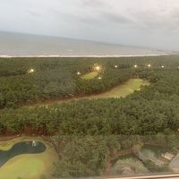 25階からの眺望