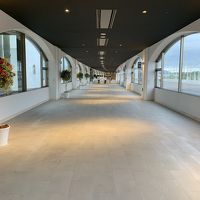 回廊もこの広さ！