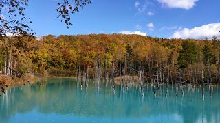 10月中旬ころ紅葉がきれい（2020年）